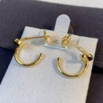 [Eternal Jewelry]JUSTE EARRINGS GOLD - Image 2