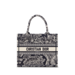 Small Dior Book Tote